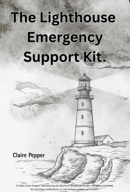 The Lighthouse Emergency Support Kit
